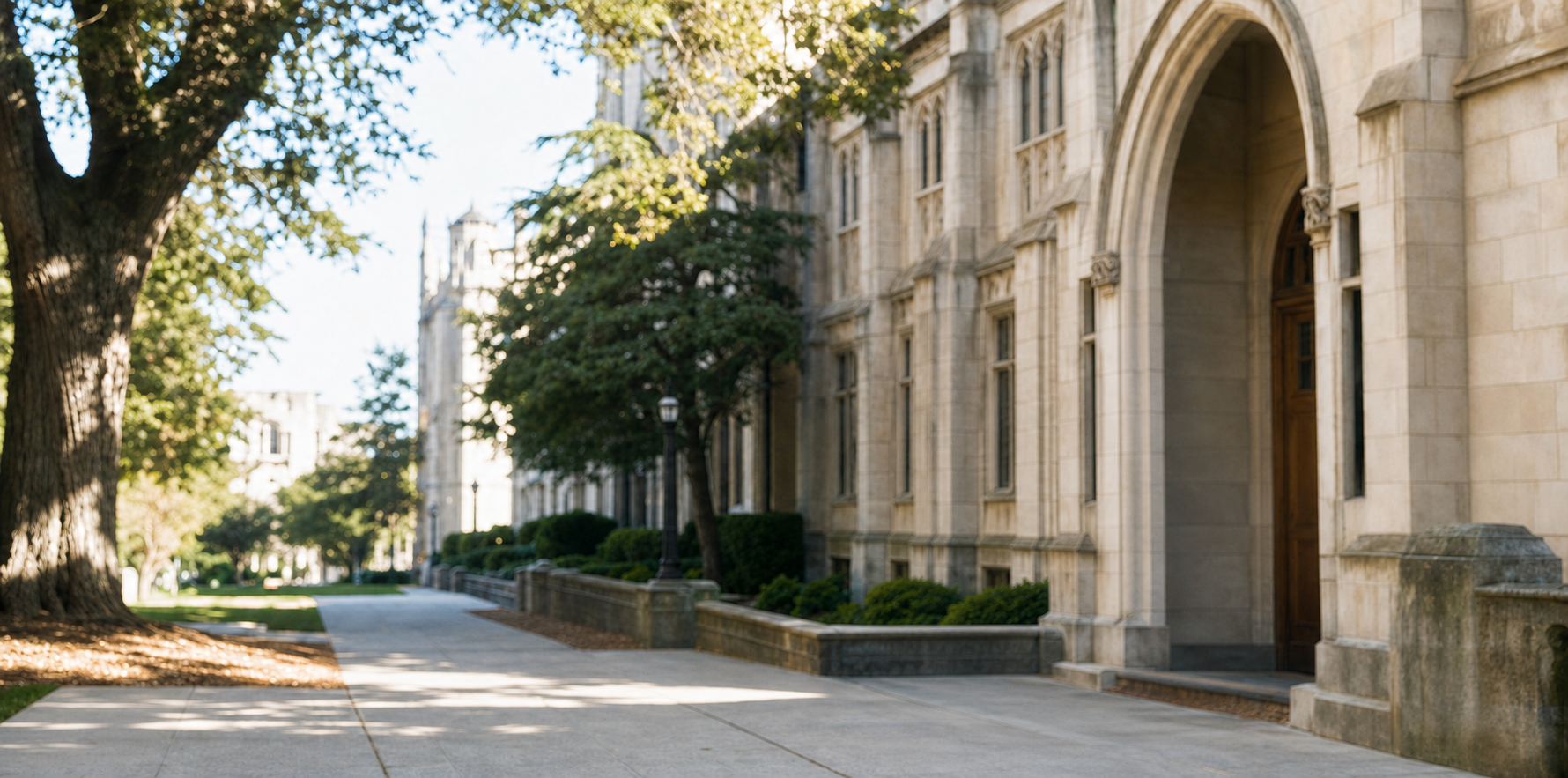 阳光下的大学校园建筑与步道